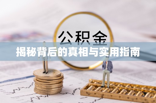 梓官揭秘背后的真相与实用指南