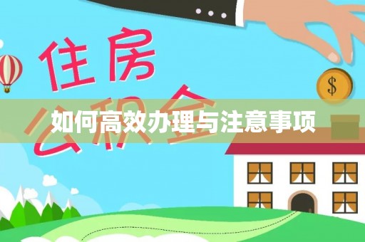 梓官如何高效办理与注意事项