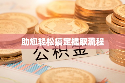 梓官助您轻松搞定提取流程