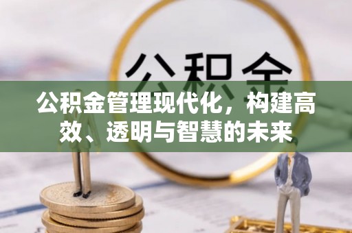 梓官公积金管理现代化，构建高效、透明与智慧的未来