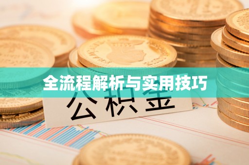 梓官全流程解析与实用技巧