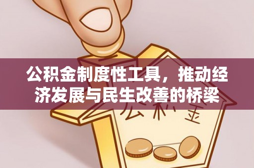 梓官公积金制度性工具，推动经济发展与民生改善的桥梁