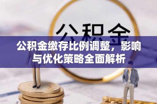 梓官公积金缴存比例调整，影响与优化策略全面解析