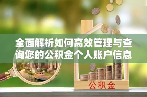 梓官全面解析如何高效管理与查询您的公积金个人账户信息
