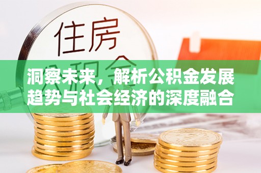 梓官洞察未来，解析公积金发展趋势与社会经济的深度融合