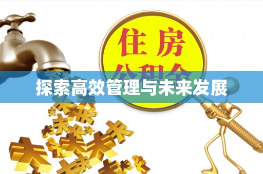 梓官探索高效管理与未来发展
