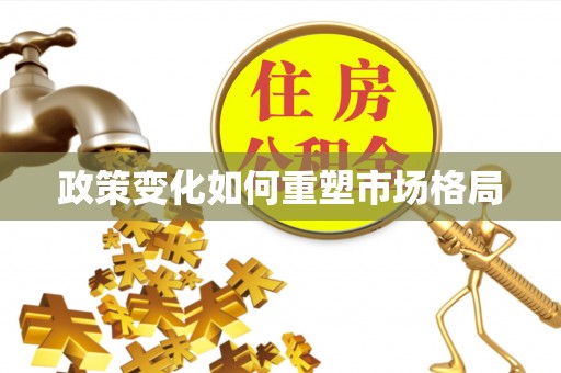 梓官政策变化如何重塑市场格局