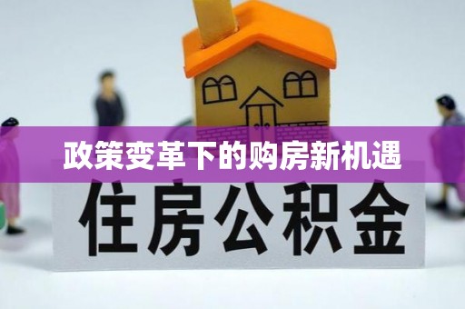 梓官政策变革下的购房新机遇