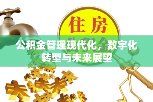 梓官公积金管理现代化，数字化转型与未来展望