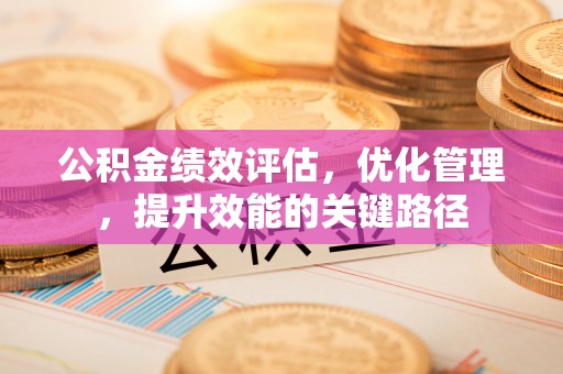 梓官公积金绩效评估，优化管理，提升效能的关键路径