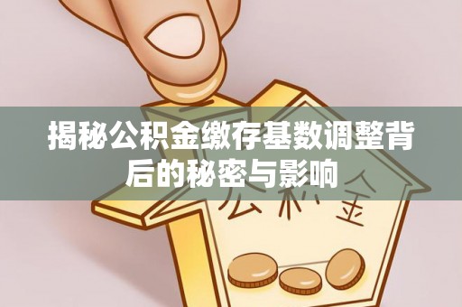 梓官揭秘公积金缴存基数调整背后的秘密与影响
