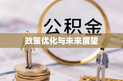 梓官政策优化与未来展望