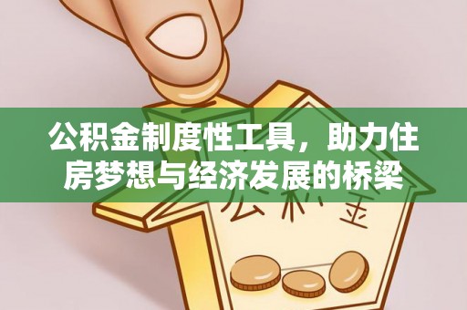 梓官公积金制度性工具，助力住房梦想与经济发展的桥梁