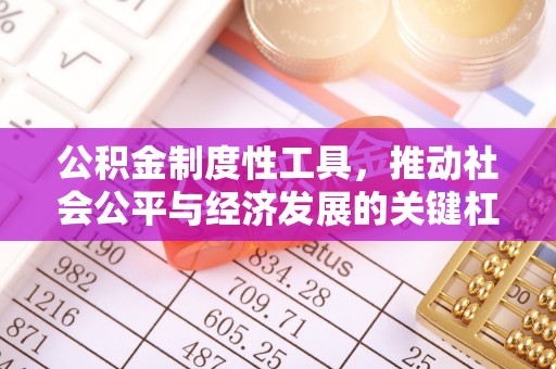 梓官公积金制度性工具，推动社会公平与经济发展的关键杠杆