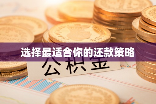 梓官选择最适合你的还款策略