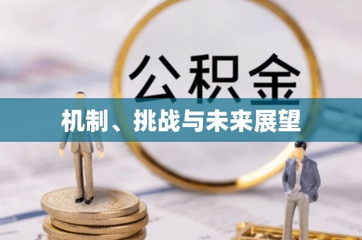 梓官机制、挑战与未来展望