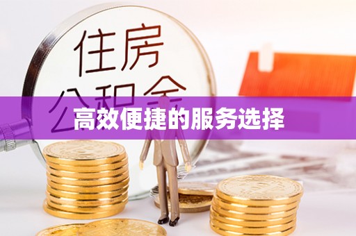 梓官高效便捷的服务选择