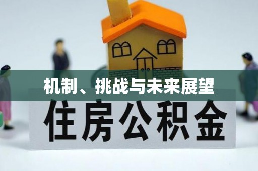 梓官机制、挑战与未来展望